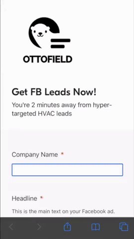 ottofield demo